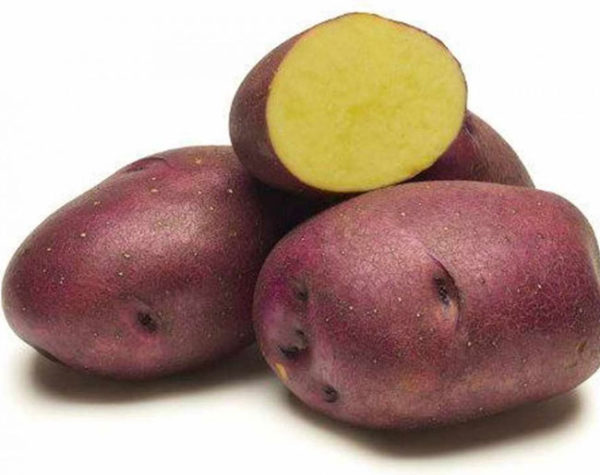 Huckleberry Gold Seed Potato- Price Per Pound