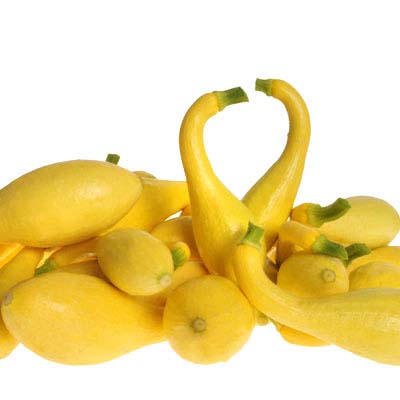 Yellow Crook Neck Summer Squash