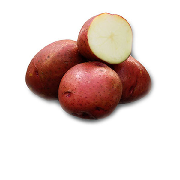Norland Dark Red Seed Potatoes Price Per Pound Moeller’s Nursery