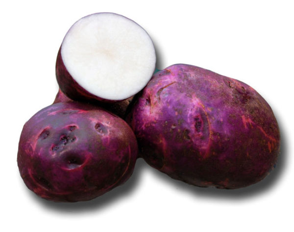 Purple Viking Seed Potato- Price Per Pound