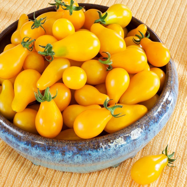 Yellow Pear Tomato