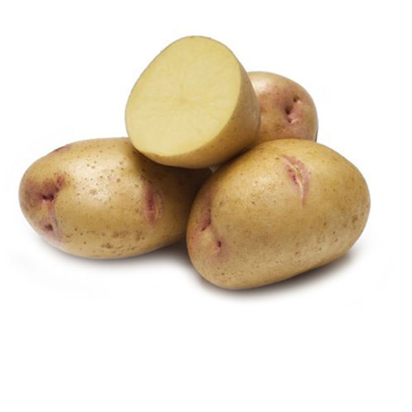 Yukon Gem Seed Potatoes: Price Per Pound
